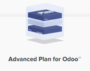 Odoo Hosting (Advanced++) 8 CPU Cores, RAM 30GB, NVMe 200GB / month