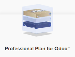 [OD-0009] Odoo Hosting (Professional) 4 CPU Cores, RAM 8GB, SSD 200GB / month