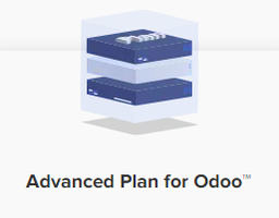 [OD-0012] Odoo Hosting (Advanced++) 8 CPU Cores, RAM 30GB, SSD 800GB / month